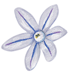 Untitled design (1)
