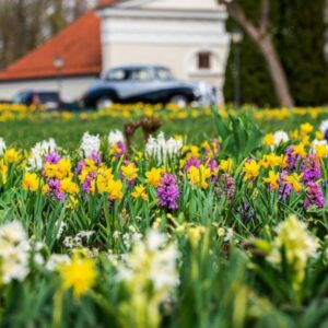 Vēsturisko piedzīvojumu parka biļete 04-16