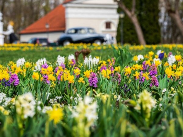 Vēsturisko piedzīvojumu parka biļete 04-16